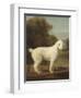 White Poodle in a Punt, 1780-George Stubbs-Framed Art Print