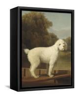 White Poodle in a Punt, 1780-George Stubbs-Framed Stretched Canvas