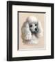 White Poodle-Judy Gibson-Framed Art Print