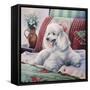 White Poodle-Jenny Newland-Framed Stretched Canvas