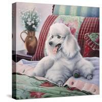 White Poodle-Jenny Newland-Stretched Canvas