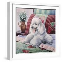 White Poodle-Jenny Newland-Framed Giclee Print