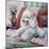 White Poodle-Jenny Newland-Mounted Giclee Print
