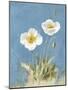 White Poppies I No Butterfly-Danhui Nai-Mounted Art Print