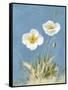 White Poppies I No Butterfly-Danhui Nai-Framed Stretched Canvas