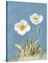 White Poppies I No Butterfly-Danhui Nai-Stretched Canvas