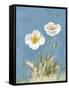 White Poppies I No Butterfly-Danhui Nai-Framed Stretched Canvas