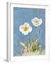 White Poppies I No Butterfly-Danhui Nai-Framed Art Print