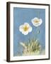 White Poppies I No Butterfly-Danhui Nai-Framed Art Print