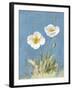 White Poppies I No Butterfly-Danhui Nai-Framed Art Print