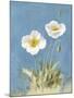 White Poppies I No Butterfly-Danhui Nai-Mounted Art Print