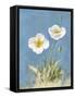 White Poppies I No Butterfly-Danhui Nai-Framed Stretched Canvas