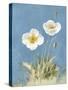 White Poppies I No Butterfly-Danhui Nai-Stretched Canvas