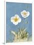 White Poppies I No Butterfly-Danhui Nai-Framed Art Print