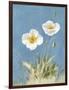 White Poppies I No Butterfly-Danhui Nai-Framed Art Print