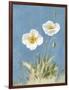 White Poppies I No Butterfly-Danhui Nai-Framed Art Print