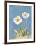 White Poppies I No Butterfly-Danhui Nai-Framed Art Print