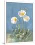 White Poppies II-Danhui Nai-Framed Art Print