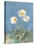 White Poppies II-Danhui Nai-Stretched Canvas