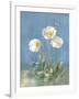 White Poppies II-Danhui Nai-Framed Art Print