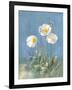 White Poppies II-Danhui Nai-Framed Art Print