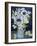 White Poppies, Marguerites and Philadelphus-Joan Thewsey-Framed Giclee Print