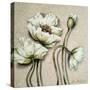 White Poppies On Pastel Pink Background-Cherie Roe Dirksen-Stretched Canvas