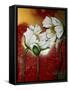 White Poppies on Red-Cherie Roe Dirksen-Framed Stretched Canvas