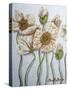 White Poppies-Cherie Roe Dirksen-Stretched Canvas