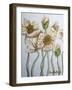 White Poppies-Cherie Roe Dirksen-Framed Giclee Print