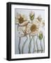 White Poppies-Cherie Roe Dirksen-Framed Giclee Print