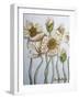 White Poppies-Cherie Roe Dirksen-Framed Giclee Print