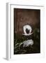 White Poppies-Incado-Framed Photographic Print