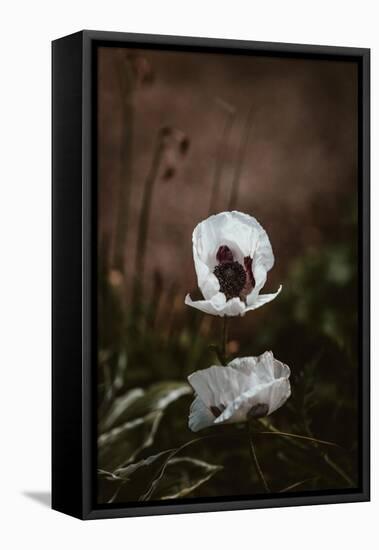 White Poppies-Incado-Framed Stretched Canvas