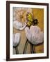 White Poppy with Butterfly-Cherie Roe Dirksen-Framed Giclee Print