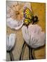 White Poppy with Butterfly-Cherie Roe Dirksen-Mounted Giclee Print