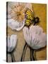 White Poppy with Butterfly-Cherie Roe Dirksen-Stretched Canvas