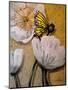 White Poppy with Butterfly-Cherie Roe Dirksen-Mounted Giclee Print
