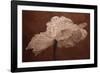 White Poppy-Cora Niele-Framed Photographic Print