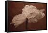 White Poppy-Cora Niele-Framed Stretched Canvas