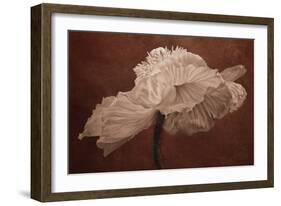 White Poppy-Cora Niele-Framed Photographic Print