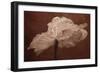 White Poppy-Cora Niele-Framed Photographic Print