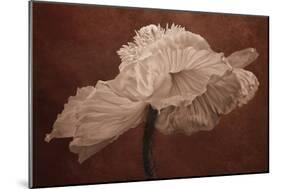 White Poppy-Cora Niele-Mounted Photographic Print