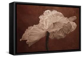 White Poppy-Cora Niele-Framed Stretched Canvas