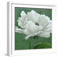 White Poppy-John Zaccheo-Framed Giclee Print