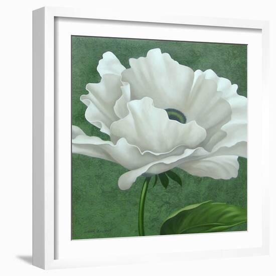 White Poppy-John Zaccheo-Framed Giclee Print