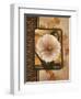 White Poppy-TC Chiu-Framed Art Print