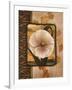 White Poppy-TC Chiu-Framed Art Print