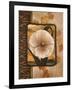 White Poppy-TC Chiu-Framed Art Print