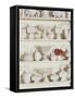 White Pottery on Shelves-Francis Hammond-Framed Stretched Canvas